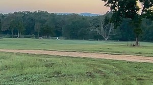 Series 1 SRS at FireWater Farms Field trial triple. Left to right. Right bird is designated go-bird. Left bird retires as soon as the dog leaves the line. Middle bird retires when the dog picks up the right bird. | Super Retriever Series