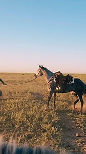 Directed, edited, and produced by yours truly 🤠 | Bonner Bolton