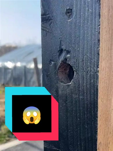 No more falling washing lines! A simple trick to secure your line firmly - There’s nothing more annoying than a washing line falling down and leaving your clothes damp and smelly. With this simple, cheap and effective trick, you can secure your washing line with total firmness, without hassle and without spending money. It’s a practical everyday solution, perfect for gardens, utility areas or small spaces. Watch until the end to learn how it works and avoid this problem for good. 👉 Comment what