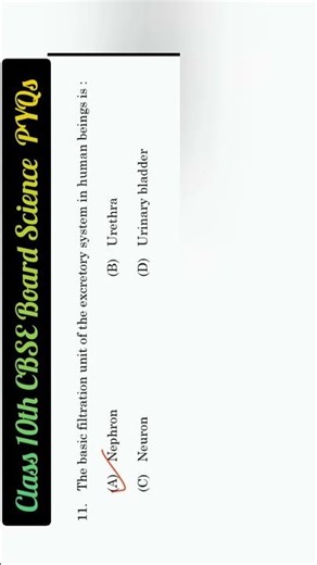 Class 10th Cbse board Science Q.11