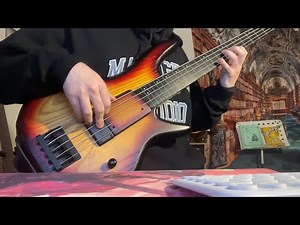 Gary Willis Style Bass Solo (IBANEZ GWB205 Fretless Bass)
