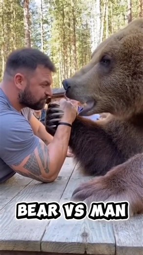 Bear vs Man Armwrestling Showdown 🐻💪🔥 | Ultimate Strength Battle!