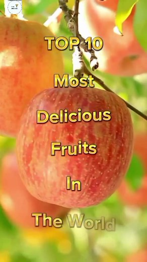 Top 10 Most Delicious Fruits in The World