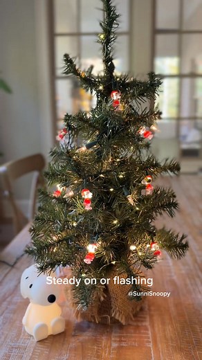  10 warm LED lights: Energy-efficient, low-heat, and safe for...