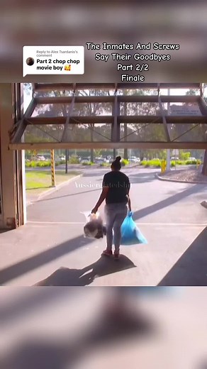 Aussie Related Stuff on TikTok