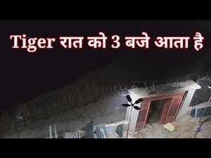 जंगल की रात | Tiger Territory | Jim Corbett | Discovery Hindi | Audiobook | Documentary in Hindi