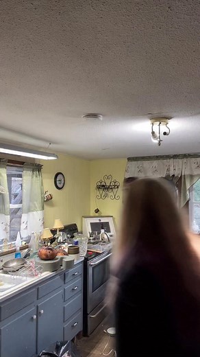 Pt.2 of getting the kitchen in order | Holley J Snyder