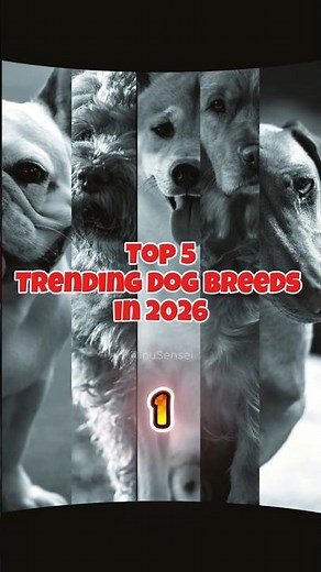 Top 5 Trending Dog Breeds in the US for 2026🐕 (Everyone Wants #1!)