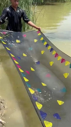 #fish 🐠🐋🐟#fishing 🎣🎣