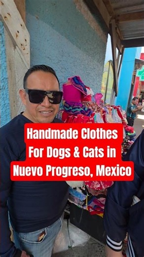 COME SHOPPING FOR HANDMADE CLOTHES FOR DOGS & CATS IN NUEVO PROGRESO MEXICO #CAT #DOG #SHORTS