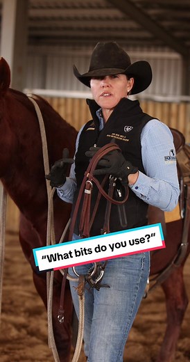 Choosing the Right Bits for Horse Training
