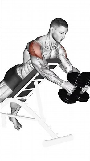 ➡️Dumbbell Reverse Fly on an Incline Bench – Perfect Form!