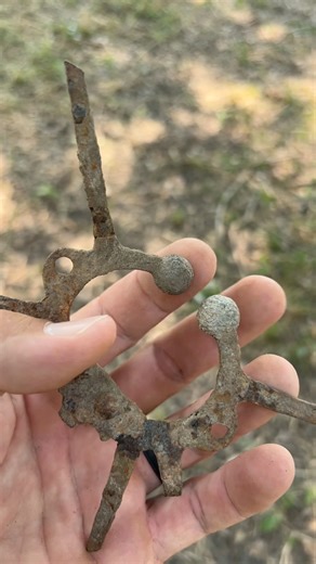 What exactly did I just find? | Arms Family Homestead