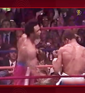 11K views · 181 reactions | Top 8 George Foreman Best Knockouts 壘壘 | SFB | Facebook