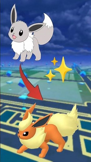 I am a repeat Shiny ✨ eevee and evolved flareon!!