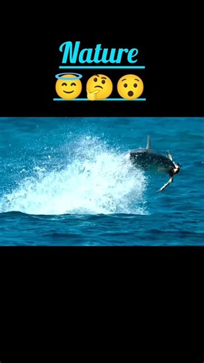 incredible nature#discovery #documentary #nature