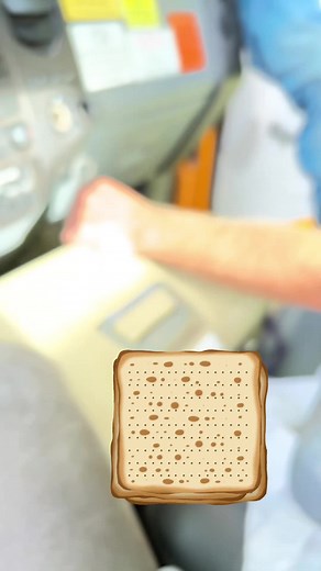 Throwback tree guys living their best life in the USA