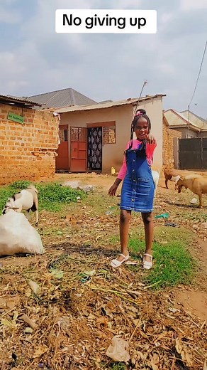 Passion Dance: Embrace Your Inner Champion