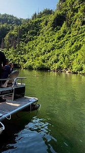The sights and sounds of our Redoubt Bay bear viewing tour. This tour operates from early June to August 31 and allows you to see Alaska’s wildlife from the comfort of a pontoon boat! | Rust's Flying Service