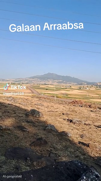 gaddisa (@gadisa028)’s videos with original sound - Shenen Gibe