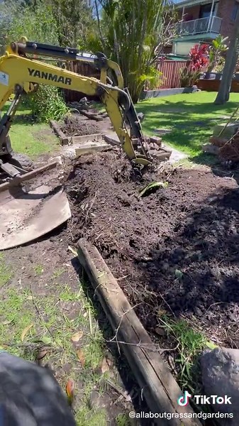 Bamboo Root Removal: How to Dig Out Bamboo Roots