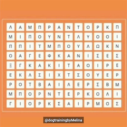 Πόσες και ποιες φυλές μπορείς να βρεις? 🐾❤️ #dogtraining #εκπαιδευση_σκυλων #σκύλος #κουτάβι #quiz