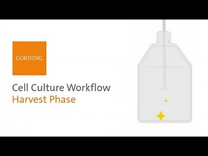 How to Create an Ideal Environment for Growing Cells: Harvest Phase