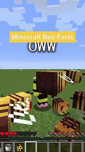 Deciding My Next Mob Adventure in Minecraft