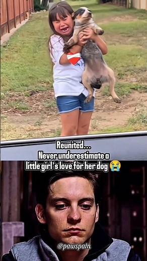 Try Not To Cry 😭 A Child and Her Dog Reunite #dog #shorts #sad
