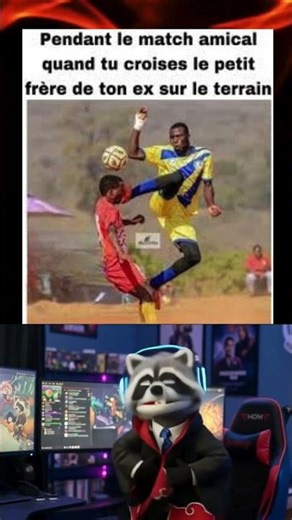 MEME OF THE DAY ✌️🦝 the tackle promises to be surgical