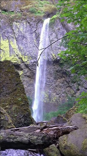 Elowah Falls | 4K Nature Ambience | Columbia River Gorge Oregon | PNW Relaxation Nature Sounds