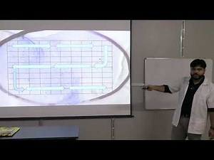 Lecture on Ziehl-Neelsen (ZN) Staining: Principle, Procedure & Grading | MBBS | TSMC