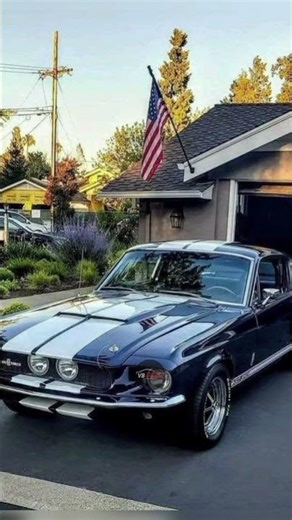 🏁Classic 1967 Shelby GT500 V8 Revs! 🇺🇸 Legendary American Muscle Car Sound