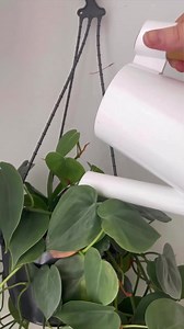 The easiest #ProductivityHack you'll find online 👏🏼 ⚡️ 👊🏼 ✅ Didn't watch the whole thing? No worries. It's as simple as: 1. Add something to your to-do list AFTER you've completed said thing just so you can experience the smug satisfaction that comes with crossing it off 🤩 CUE: instant motivation dopamine to start your week off the right way. | Daily Orders