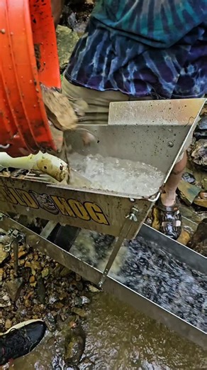 Miles Sanchez on Instagram: "Piglet Gold Prospecting #goldprospecting"