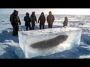 Incredible Moments Caught on Camera