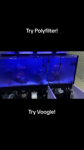 Improve Aquarium Water Quality with Polyfilter and Voogle | Pets, Animals, Nature