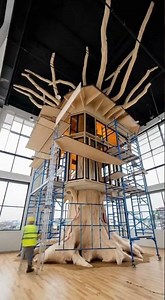 Secrets Behind Building a High-Ceiling Treehouse