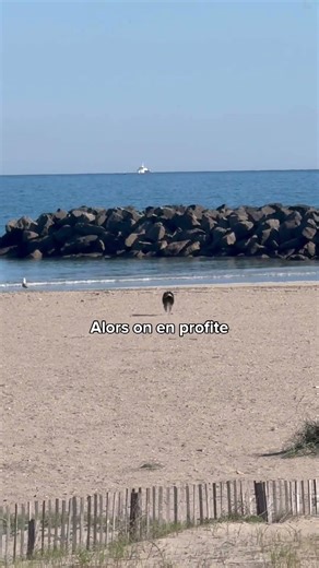 Soon we won't even have the right to go to the beach anymore…