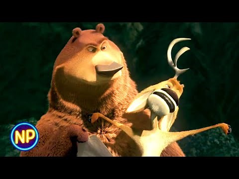 Waking up in the Woods | Open Season