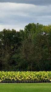 Let’s finish this Reel series with a little bouncy landing on my HobbyKing H-King YAK-11 SteadFast Racer 6S 😎.Watch the full 4K Flight Video on my Youtube Channel! ✅.Powered by Chinahobbyline G 6000mah 6S 70C🔋🔥...Follow my IG and TikTok pages for more contents!✅️ @ricks_jets_garage and susbscribe🔔 on my Youtube channel for the full flight videos in high quality, link in bio!...#rcplane #rcplanes #rcaeroplane #flying #airplanes #aviation #rc #rclife #rclifestyle #radiocontrol #avgeek #aviatio