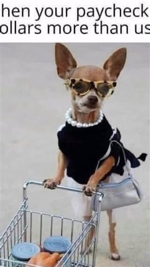 #balling | Amish Recipes and Cookbooks