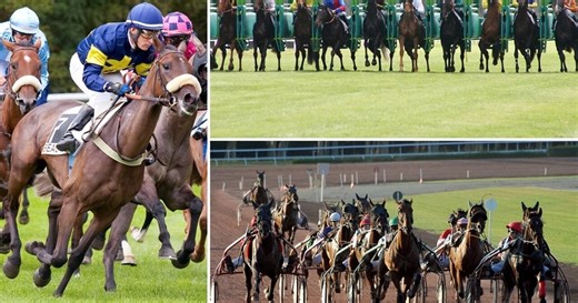 L'intégrale des courses - Épisode 15