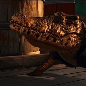 252K views · 531 reactions | FACT: Freshwater crocs mainly feed on fish, crustaceans and insects. Although, it appears Guapo has acquired a taste for Anton's Special Forces...  Have you unlocked all of Guapo's abilities yet? #ReptileAwarenessDay | Ubisoft Toronto | Facebook