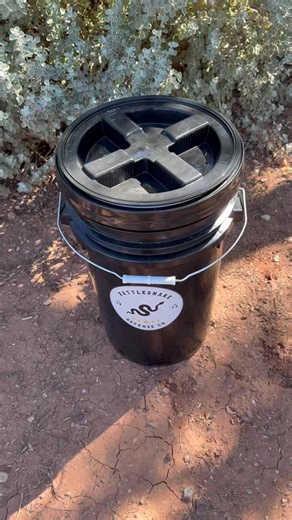 The Self Releasing Coachwhip, Aka “The Red Racer” | The Rattlesnake Defense Co.