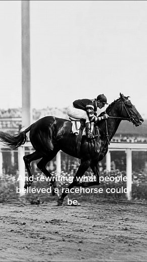 Man o' War: The Horse Many Say Was Greater Than Secretariat.