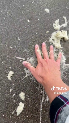 Mesmerizing Sea Bubbles - Exploring the Beauty of Nature