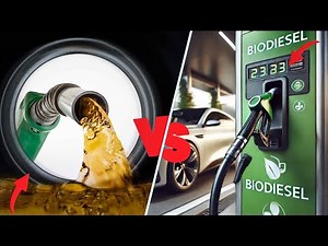 Diesel Fuel vs Biodiesel: What's the Difference?