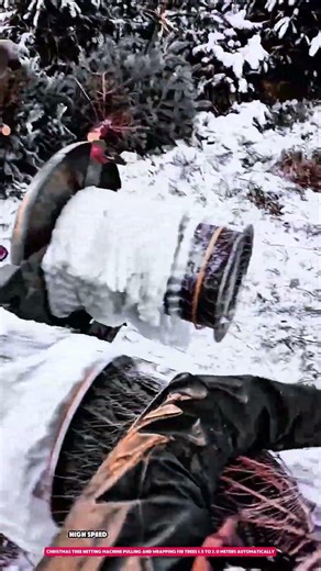 christmas tree netting machine pulling and wrapping fir trees 1.5 to 3.0 meters automatically