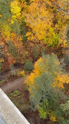 David Lasley on Reels | Facebook